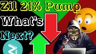 Zilliqa Pumped By 21% But Is The Correction Over? Bitcoin Technical Analysis Today
