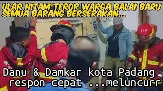 ULAR HITAM TEROR WARGA BALAI BARU‼️