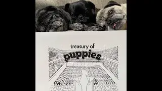 Treasury Of Puppies &ldquo;S/T&rdquo; 2020 F&ouml;rlag F&ouml;r Fri Musik