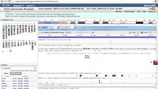 How to Use the 1000 Genomes Browser