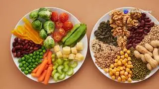 Top Plant Based Protein Sources ( No Meat )