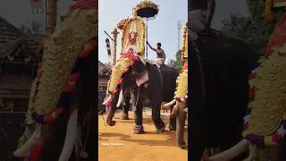 ശ്രീ മീൻകുളത്തിക്കാവ് പൂരം 2025 #elephant #pooram2025 #pooram #festival #channel #reels