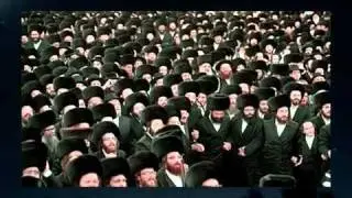 Racism is Natural - Part 17 A (Genetic Similarity Theory) D [MrHerrIQ]