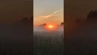 Потеряли ёжика