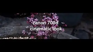 canon 700d/t5i cinematic look