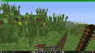 Minecraft 6.6.6