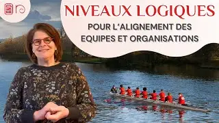 Niveaux Logiques  - indispensable pour l'alignement des équipes