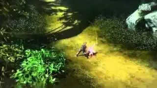 ArcheAge - Combat