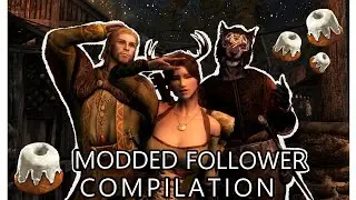 Мои подписчики с модами стали хаотичными (и милыми) # 2 | Skyrim