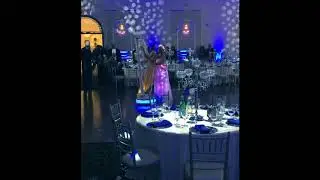 Toronto Musician Elena - LED Gown & Floating Harp Winter Wedding