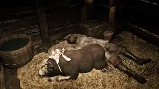 RDR2 - I Found the Most Creepy Barn