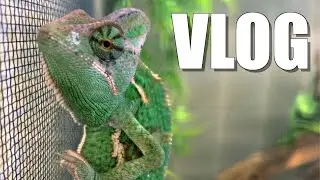 Visiting Local Pet Stores in Iowa - Vlog 21