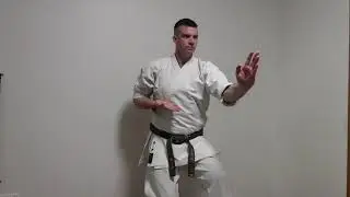 GRADING - Cat stance, knife hand block