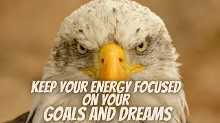 Be an Eagle-Power of attitude Eagle attitude status| eagle inspirational quotes|Eagle mentality