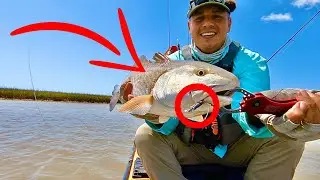 (S3 Ep157) Click-Baiting fish on oyster beds! 😂
