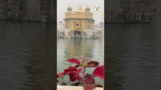 Bhai Gopal Singh Ragi | Connect Punjab Canada #ytshorts #shorts #universe #shiridarbarsahib