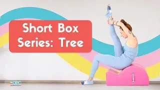 Short Box Series: Tree on the Spine Corrector | Online Pilates Classes