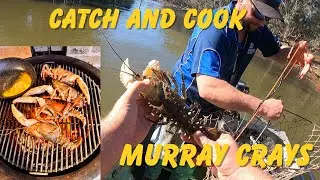 CATCH AND COOK, Epic River Adventure Catching Giant Murray crays!