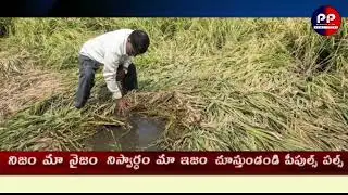 # Farmers' death toll.. 767 people committed suicide in 3 months. One death every three hours.