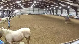 rode a 1d berral horse to day but I was holding him back