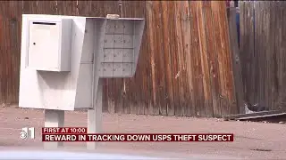 Reward in tracking down USPS theft suspect