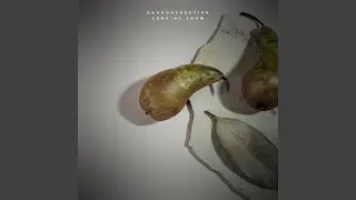 Cooking Show