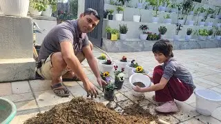 Soilmix for pot and garden Overview 