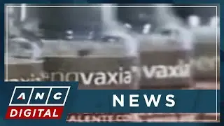 Experts suggest use of Dengvaxia vaccine amid rising dengue cases | ANC