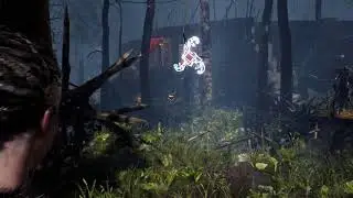 Hellblade  Senua's Sacrifice Valravn's crows rune gate bug