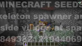 Skeleton dungeon SPAWNER and seaside village at SPAWN! 1.10.2 seed.