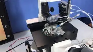 Microinjection for using the PM2000 Cell Microinjector