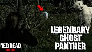 Легендарная призрачная пантера в Red Dead Online! Гайд по легендарным животным
