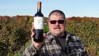 Montes Alpha 2019 Cabernet Sauvignon (Chilean Wine)