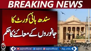 Sindh High Court Orders Inspection of Animals &ndash; Aaj News Breaking
