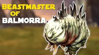 Beastmaster of Balmorra - All 4 Locations - SWTOR Galactic Beastmaster