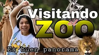As&iacute; es el Zool&oacute;gico Nacional de SANTIAGO de Chile