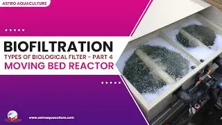 Bio Filter-Moving bed reactor