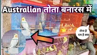 Varanasi birds market !! jamshed vlogs