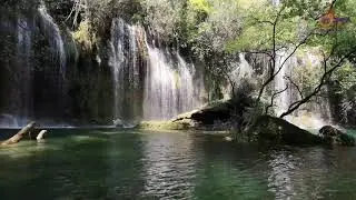 Relaxing Music, Study Music, Stress Relief Music, Calm Music, Sleep Music, Meditation Music, Vol.24