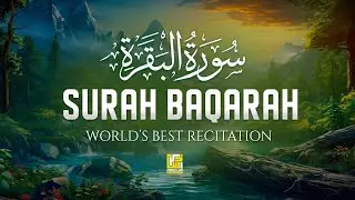 Surah Al-Baqarah Full (سورة البقرة) | Soul Healing & Heart Soothing Quran | Zikrullah Reciters