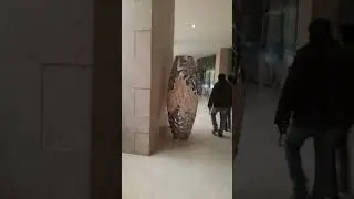 Delhi India #shorts #youtubeshorts #india #raj