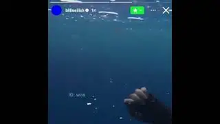 Billie Eilish - Hit Me Hard And Soft Teaser x I'm Good (Blue) by David Guetta & Bebe Rexha