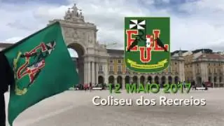 Bandeira EUL 25 anos