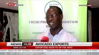 Avocado Exports: World demand for avocado soars