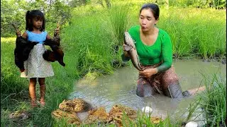 Catch and cook frog for food/ Grilled fish with chicken for dinner