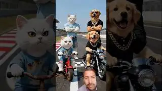 Billi kutte ki race #cat #funny #animation #avengers #pet #viralvideo #catdad #pets #kitten