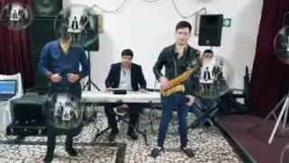 FORMATIE NUNTA ROMAN,BACAU,VASLUI,NEGRESTI....
