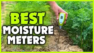 Best Moisture Meters for Beginner Gardeners