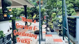Garden Tour /Our Low Cost Home Graden/Pot making and gardening from House hold waste