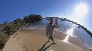 Penguins & Oysters - Sydney Harbour National Park - Sydney360 Guide